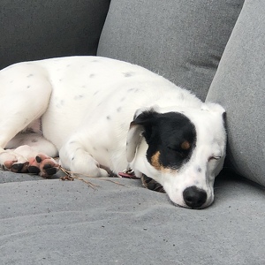 Fundraising Page: Patrick Plunk